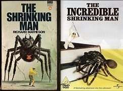 Image result for Incredible Shrinking