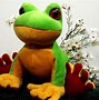 Image result for Clown Tree Frog Plush Toy