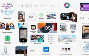 Image result for Apple's Overiew