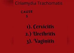 Image result for Chlamydia Trachomatis Symptoms