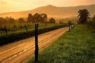 Image result for Cute Pictures of Country