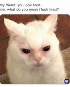 Image result for You Look Tired Meme