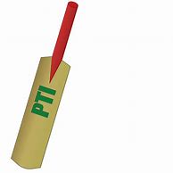 Image result for Flex Cricket Bat