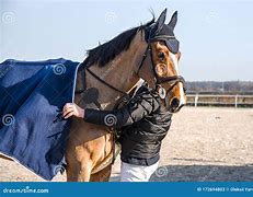 Image result for Horse Jockey Couples