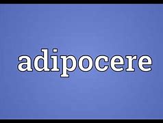 Image result for adipsis