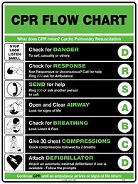 Image result for American Red Cross CPR First Aid Book
