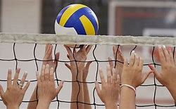 Image result for Adult Volleyball