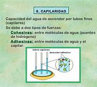 Image result for aguachinsr
