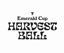 Image result for Seattle Emerald Cup 2018
