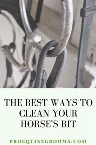 Image result for Horse Bit Cleaners