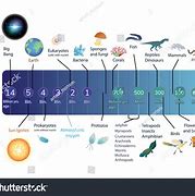 Image result for Evolution of Life On Earth Timeline