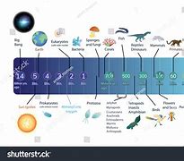 Image result for Life Evolution Timeline