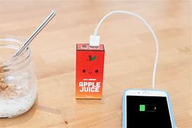 Image result for Power Juice Portable Charger
