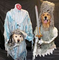 Image result for Scary Ghost Girl Costume