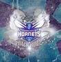 Image result for Charlotte Hornets Colors