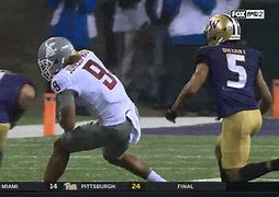 Image result for UW Apple Cup Memes
