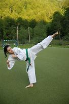 Image result for Martial Arts Photography