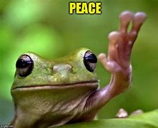 Image result for Funny Peace Out Meme
