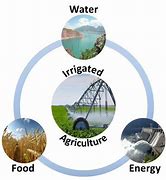 Image result for Water Food and Energy