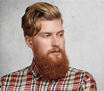 Image result for Lumberjack Beard Guy