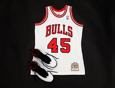 Image result for Michael Jordan 45 Jersey