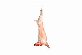 Image result for Australian Mutton Carcase