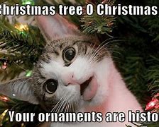 Image result for Facebook Merry Christmas Eve Meme