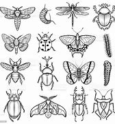 Image result for Stencil Cute Insect Outline