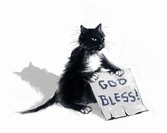 Image result for Homeless Cat Cartoon