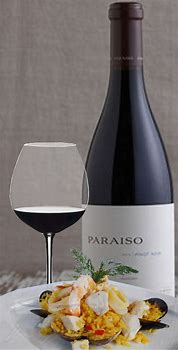 Image result for Paraiso Pinot Noir Santa Lucia Highlands
