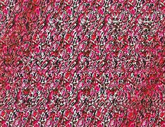 Image result for 3D Magic Eye Jerry Frey