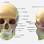 Image result for Jow Bone