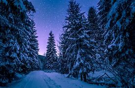 Image result for iPad Pro Winter Wallpaper