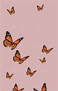 Image result for Cute Butterfly Wallpapers