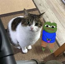 Image result for Aesthetic Pepe