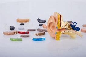 Image result for Hearing Aids Alternatives