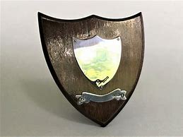 Image result for Shield Trophy