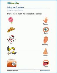 Image result for Five Senses Body Part Worksheet