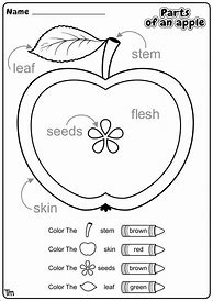Image result for Apple Science Preschool