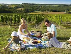 Image result for picnic