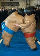 Image result for Sumo Costume Fighting