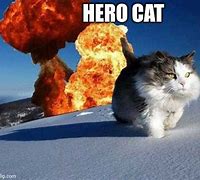 Image result for Cat Hero Meme