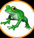 Image result for Genesis Frog