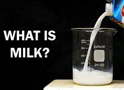 Image result for How It's Made Milk