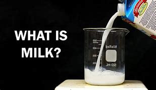 Image result for How Is Milk Really Made