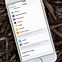 Image result for What Does Reset Network Settings Do On iPhone