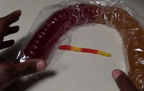 Image result for Biggest Gummy Worm in the World