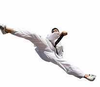 Image result for Taekwondo Bow