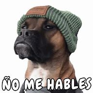 Image result for Memes En Ingles Con Palabras Claves