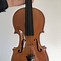 Image result for Violin Shape